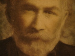 portrait of a man sitting in the garden, face detail